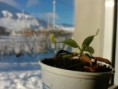 /album/fotogaleria/p1154-01-22-06-12-jpg/